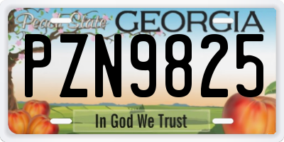 GA license plate PZN9825