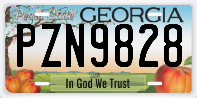 GA license plate PZN9828
