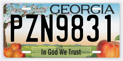 GA license plate PZN9831