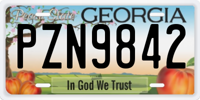 GA license plate PZN9842