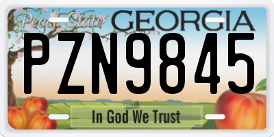 GA license plate PZN9845