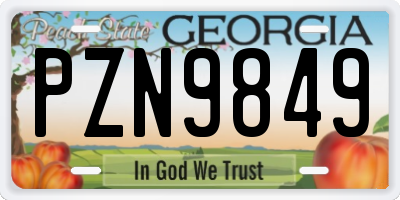GA license plate PZN9849