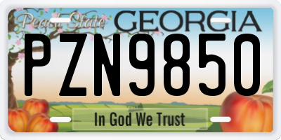 GA license plate PZN9850