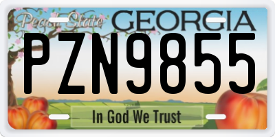 GA license plate PZN9855
