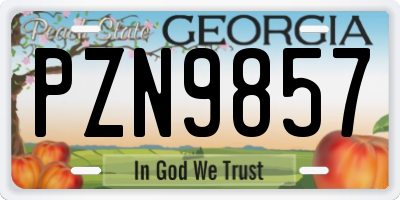 GA license plate PZN9857