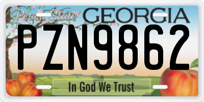 GA license plate PZN9862