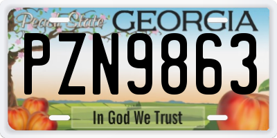 GA license plate PZN9863