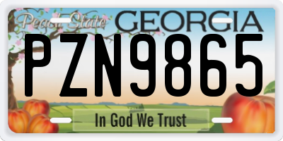 GA license plate PZN9865