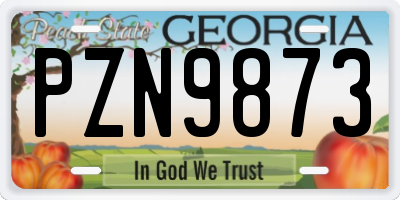 GA license plate PZN9873