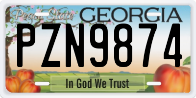 GA license plate PZN9874