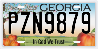 GA license plate PZN9879