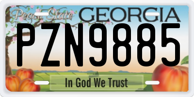 GA license plate PZN9885