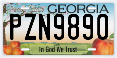 GA license plate PZN9890