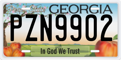 GA license plate PZN9902