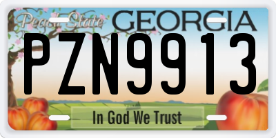 GA license plate PZN9913