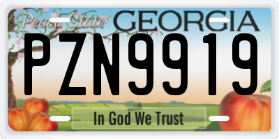 GA license plate PZN9919
