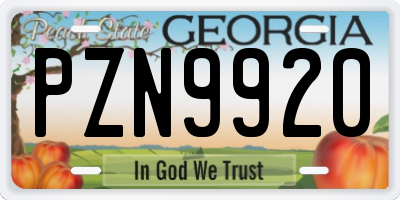 GA license plate PZN9920