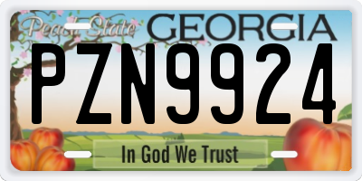 GA license plate PZN9924