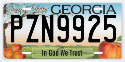 GA license plate PZN9925