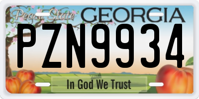 GA license plate PZN9934