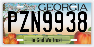 GA license plate PZN9938