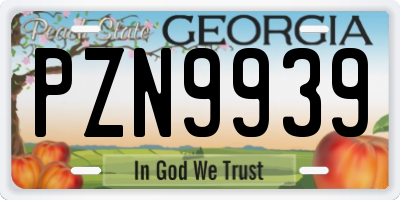 GA license plate PZN9939