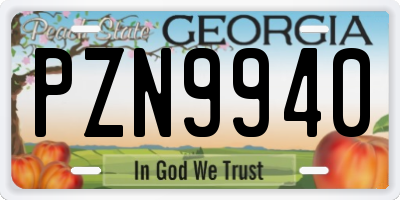 GA license plate PZN9940