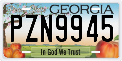 GA license plate PZN9945