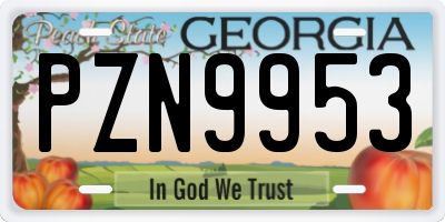 GA license plate PZN9953