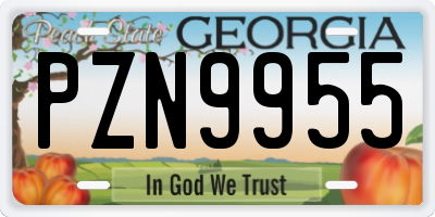 GA license plate PZN9955