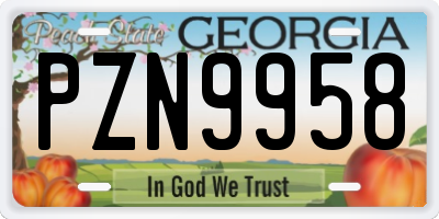 GA license plate PZN9958