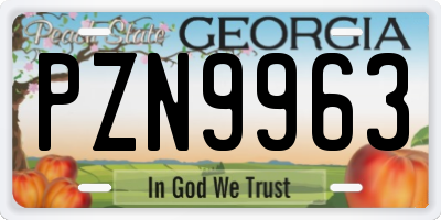 GA license plate PZN9963