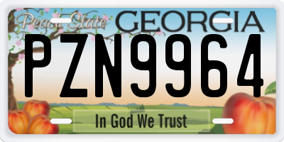 GA license plate PZN9964