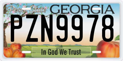 GA license plate PZN9978