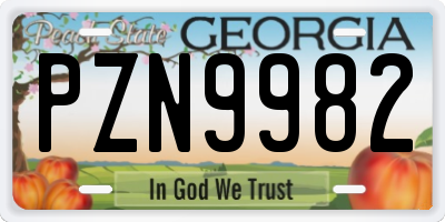 GA license plate PZN9982
