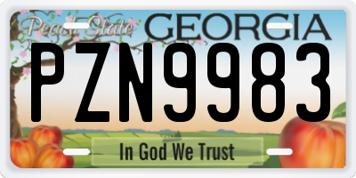 GA license plate PZN9983