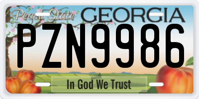 GA license plate PZN9986