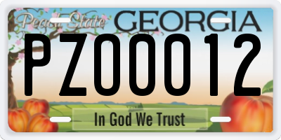 GA license plate PZO0012
