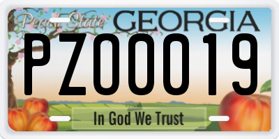 GA license plate PZO0019