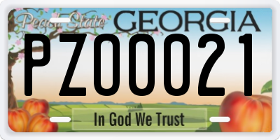 GA license plate PZO0021