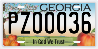 GA license plate PZO0036