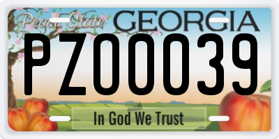 GA license plate PZO0039