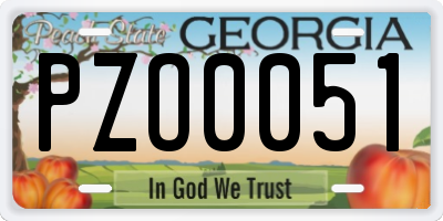 GA license plate PZO0051