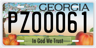GA license plate PZO0061