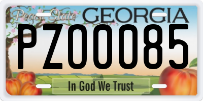 GA license plate PZO0085