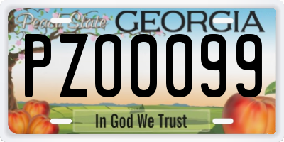 GA license plate PZO0099