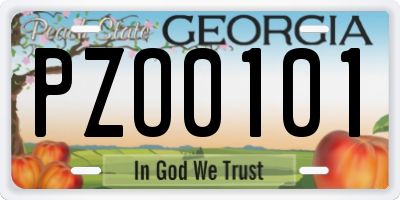 GA license plate PZO0101