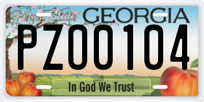 GA license plate PZO0104