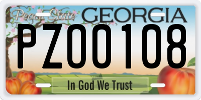 GA license plate PZO0108