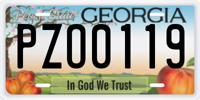 GA license plate PZO0119